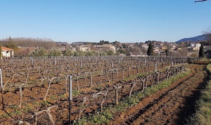Village et vignes
