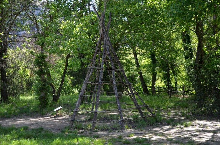 Tipi
