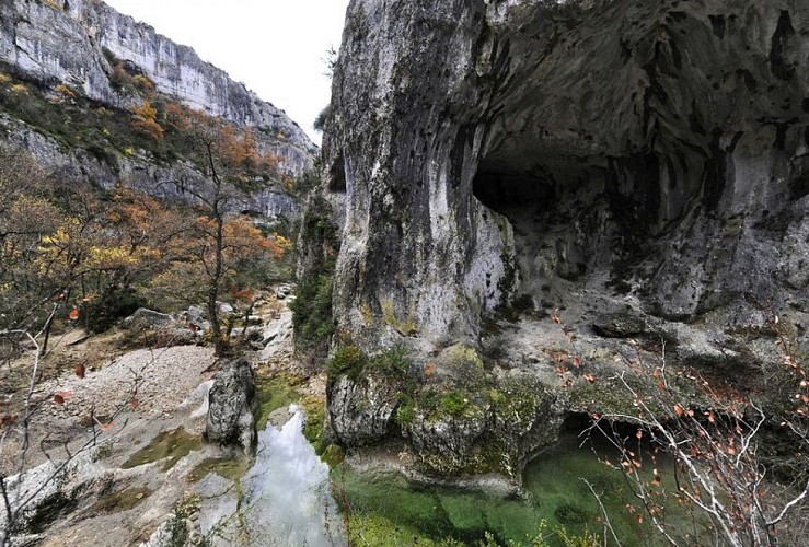 Gorges d'Oppedette en automne