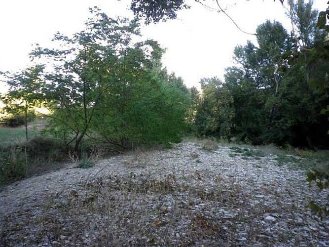 Le Largue en période d'étiage