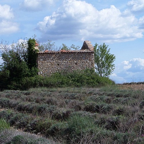 Cabanon de Saint Suffret