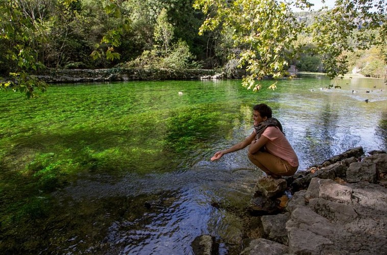 La Sorgue paisible sur Fontaine-de-Vaucluse