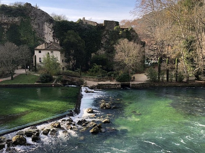 La Sorgue à Fontaine-de-Vaucluse