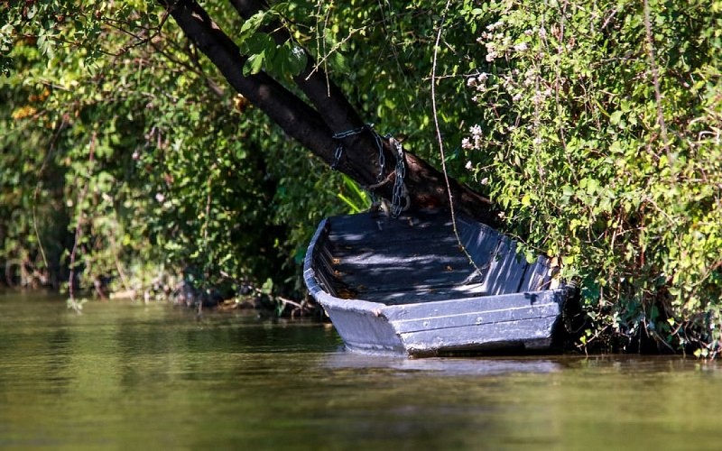 Le long de la Sorgue