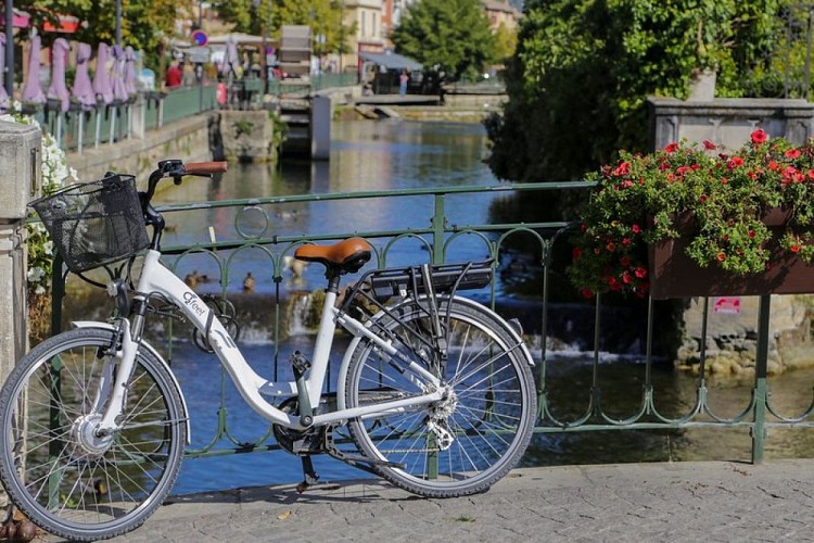 Passerelle sur la Sorgue