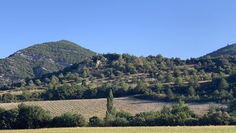 Ruines de l'ancien village de Béconne