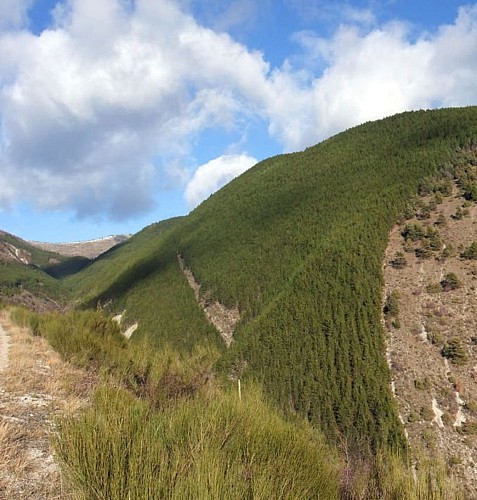 Le Vallon de l'Estang