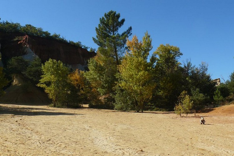 Corridor écologique le long du Sahara