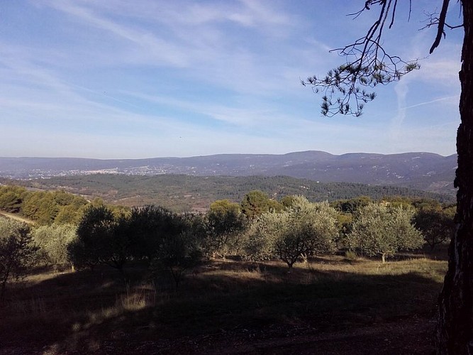 Massif de la Bruyère depuis Pié de Marc