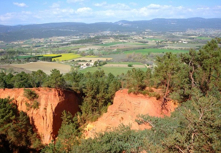 Espace boisé de feuillus
