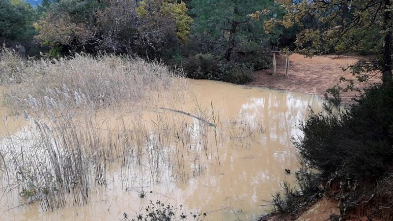 La mare à l'automne
