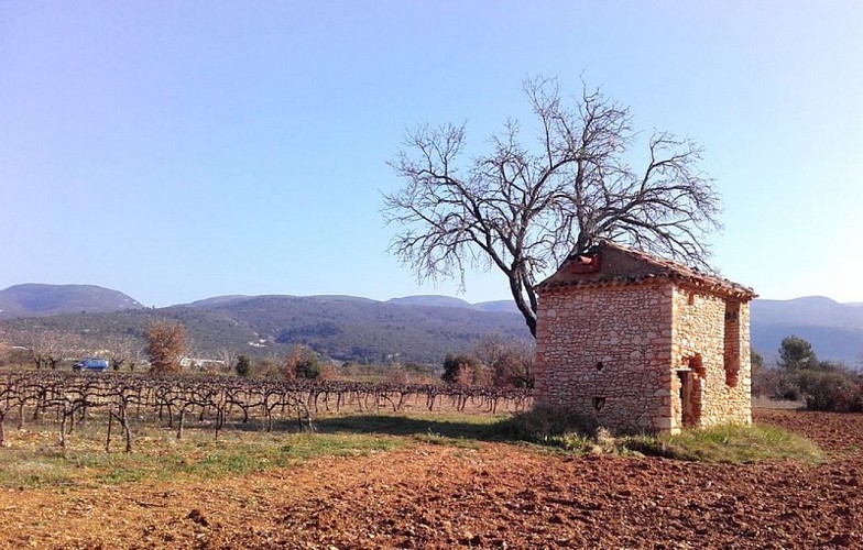 Un cabanon pas si abandonné que ça !