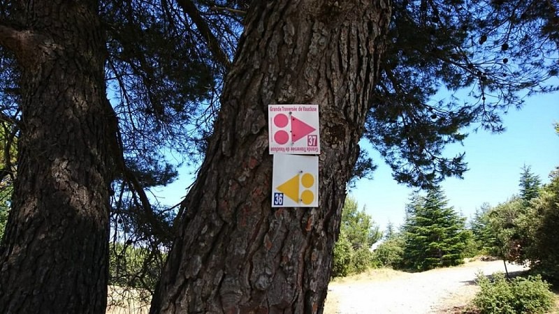 Balisages labélisés FFC de la GTV et des circuits VTT