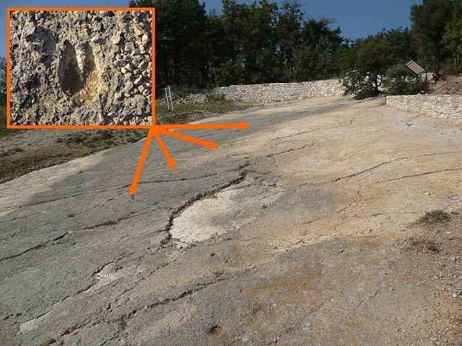 Dalle à empreintes de Viens