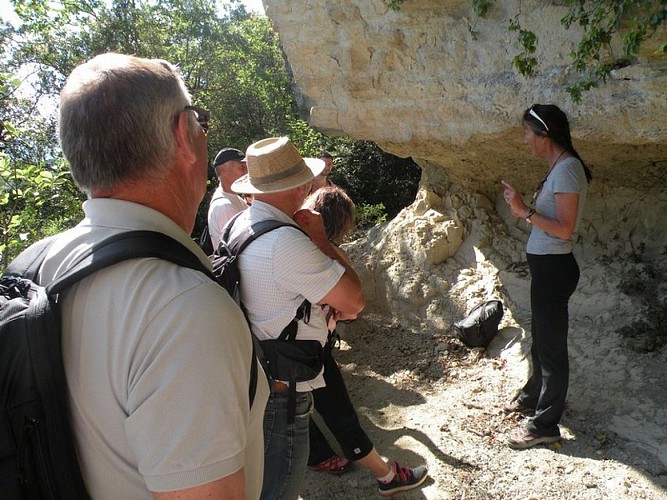 Sortie buissonnière du Parc