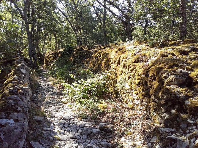 Longs murs de La Gardette