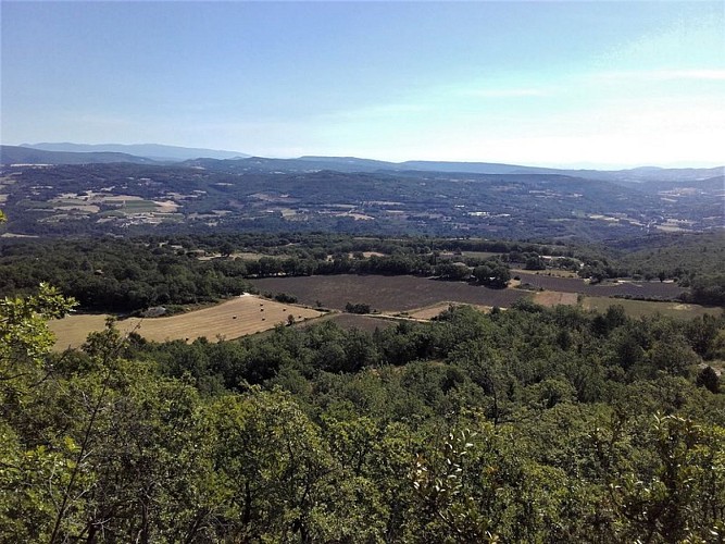 Vue sur le plateau de Caseneuve et la Montagne de Lure au fond