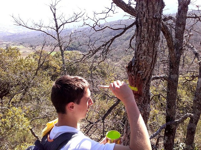 Chantier école de balisage de sentier