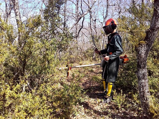 Chantier école de débroussaillage de sentier