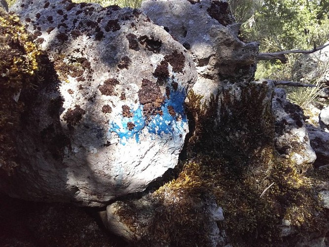 Reliquat d'ancien balisage de sentier