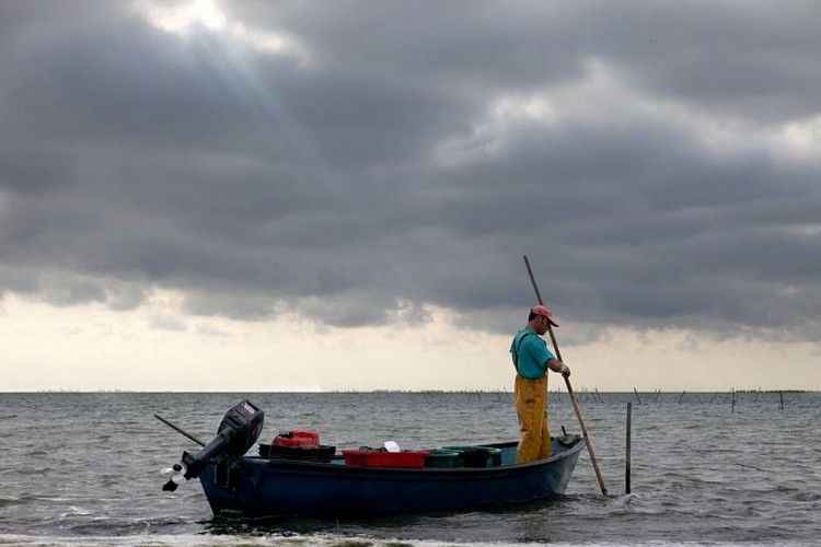 Pêcheur se déplaçant sur l'étang