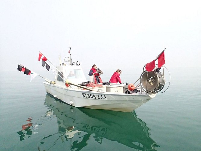 Pêches scientifiques dans la réserve marine