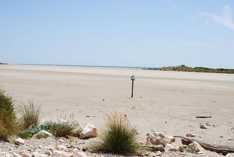 Paysage au sud de la digue