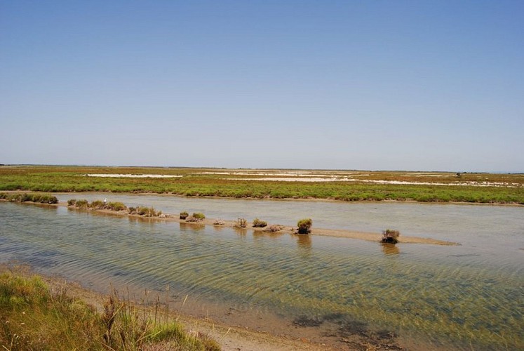 Paysage nord de la digue à la mer