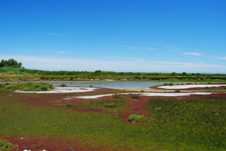 Paysage nord de la digue à la mer