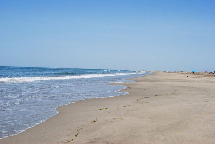 Plage de la digue à la mer