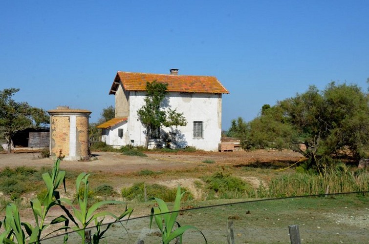 Ancienne gare de Magelonne