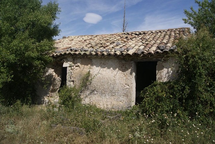 Cabanon abandonné