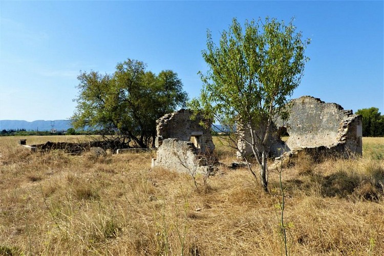 Ruines d'une ancienne bergerie