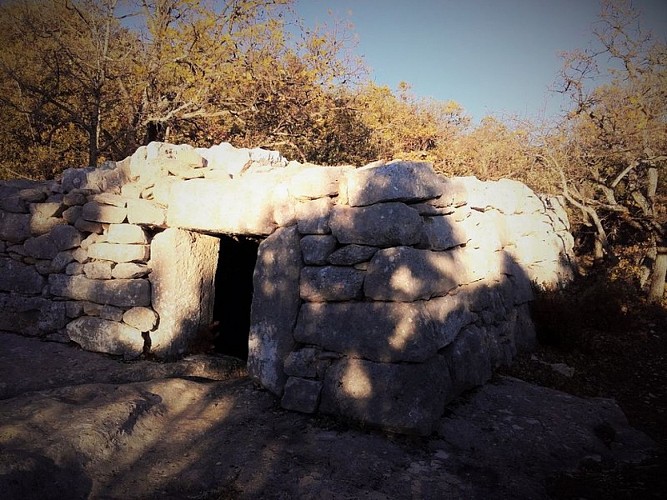 Aiguier couvert de Travignon