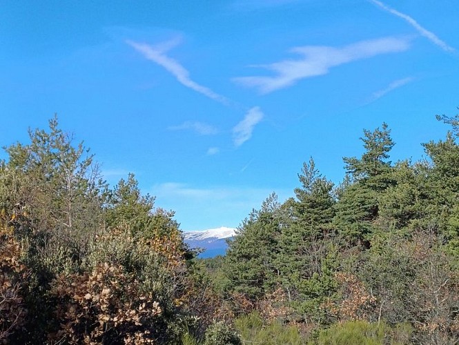 Mont-Ventoux depuis le col de La Liguière