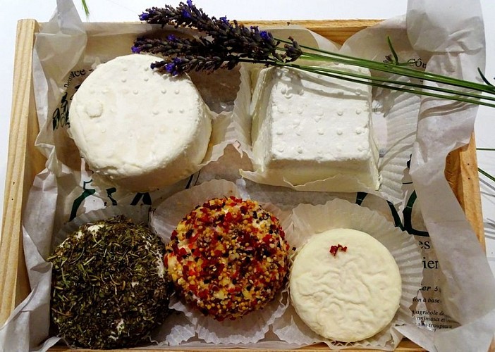 Fromages de chèvres