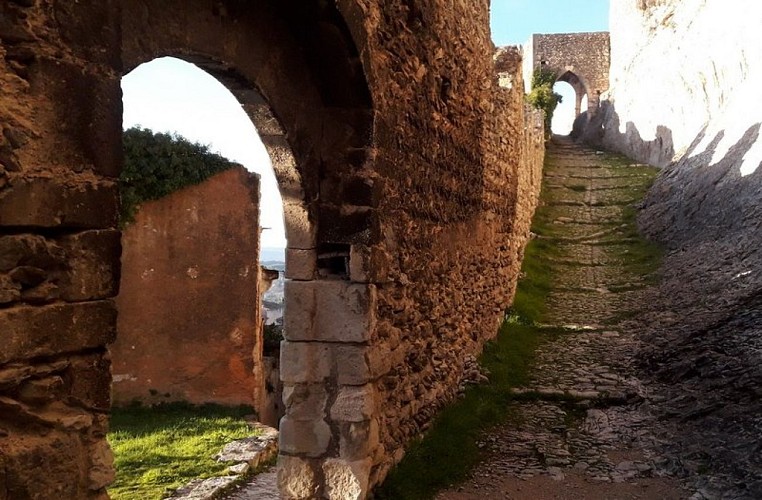 Calade entre la Porte Viramont et le Portalet