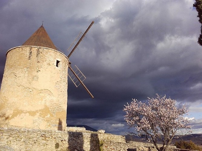 Moulin avant restauration (2016)