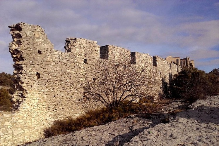 Remparts en chevrons