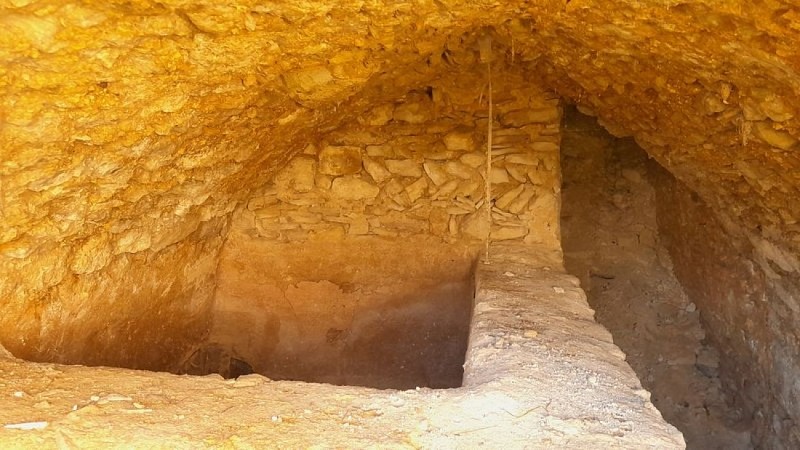 Ancienne cuve vinaire