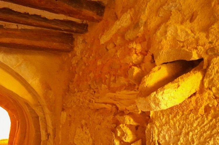 Gargouille du Passage du Pontin