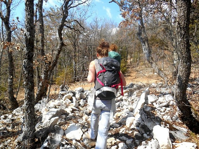 Sur le sentier des aiguiers