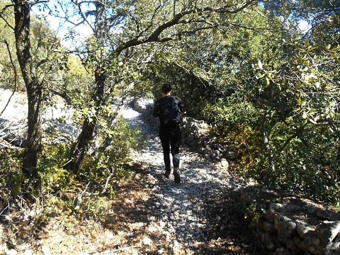 Sur le sentier de la Trape