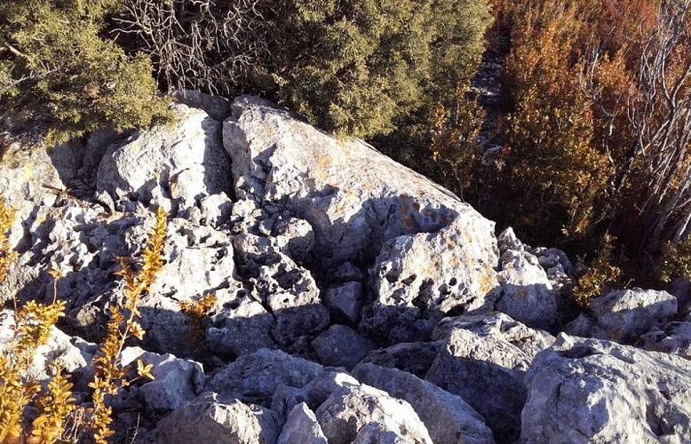 Lapiaz du Cluyer