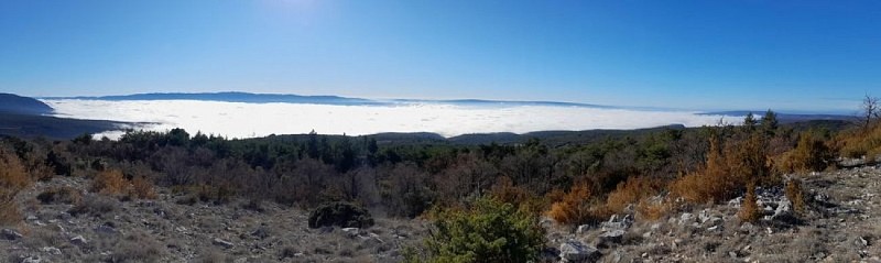 Vue sud du Cluyer le printemps