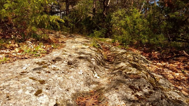 Rigole sur l'impluvium