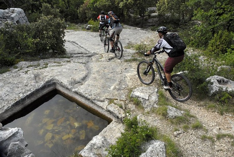 Aiguiers de Travignon