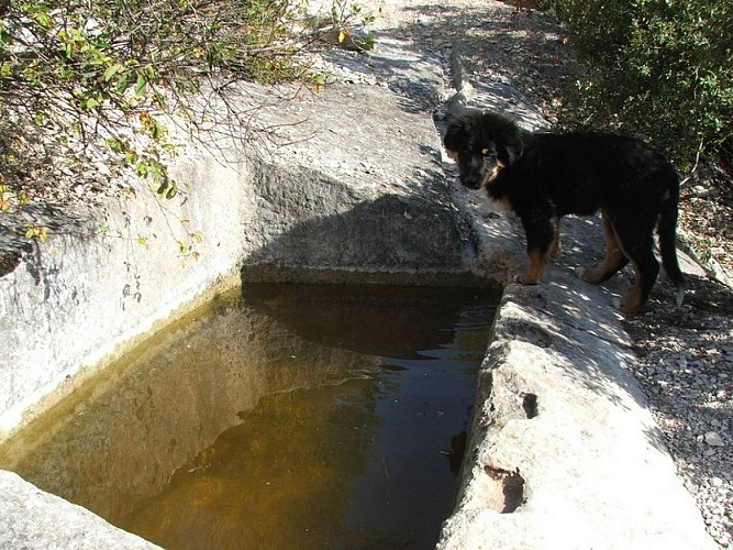 Aiguier de Freissinière