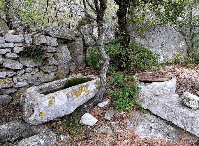 Citerne et conque de l'aiguier Caulet