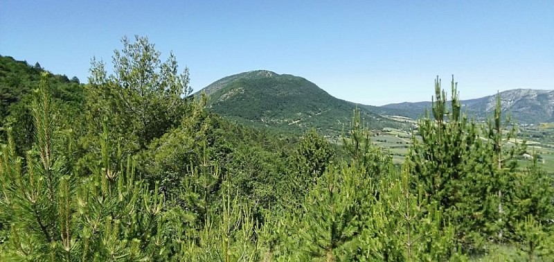 Vue sur la Fournache, Bésignan